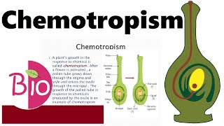 What is Chemotropism by Simply The Best BIO [upl. by Darcie]