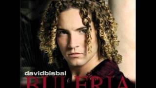 David Bisbal  Permítame señorawmv [upl. by Ahsaet428]