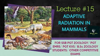 adaptive radiation in mammals II ssb pgt zoology I BSc zoology I bilingual content odia amp english [upl. by Reisman]