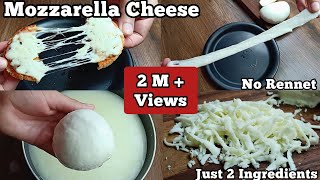 Vegan Mozzarella Cheese Recipe that Melts and Stretches  Tastes Delicious [upl. by Kare]