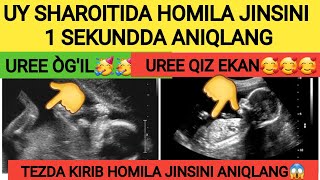 UY SHAROITIDA HOMILA JINSINI 1 SEKUNDDA ANIQLANG HOMILA JINSINI ANIQLASH USULLARI HAQIDA MALUMOT [upl. by Yren]