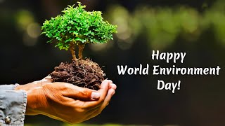 World Environment Day WhatsApp Status 2023 Environment Day Status Video 2023 beatplasticpollution [upl. by Annaiviv958]