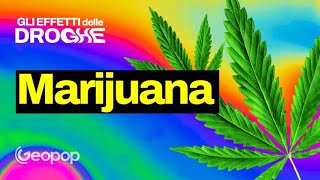 Cosa succede al nostro corpo quando si assume Cannabis Gli effetti dal punto di vista scientifico [upl. by Nikolia]