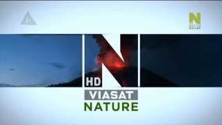 Viasat History HD  Viasat Nature HD  New Idents 30042014 [upl. by Oinotla]