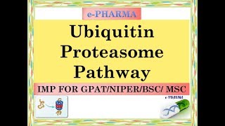 UbiquitIn proteasome pathway protein dedradation IMP FOR GPAT NIPER DI Pharmacist BSC MSC [upl. by Soane605]