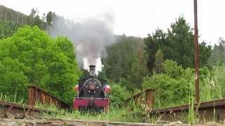 Tren el quotValdivianoquot Locomotora a Vapor N° 620 [upl. by Hakym]