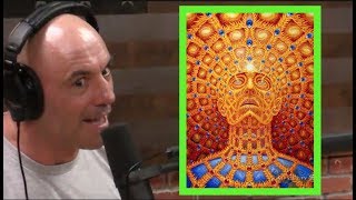 Joe Rogans DMT Experiences [upl. by Lalage29]