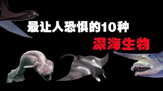 罕見的深海生物，樣貌及其恐怖，讓人見了頭皮發麻！ 【黑土日記】 [upl. by Orimar]