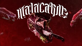 SCICLITANO  MALACARNE LYRIC VIDEO [upl. by Mauceri162]