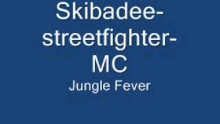 SkibadeestreetfighterMC [upl. by Aihsar]