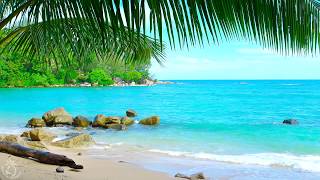 🌴 Tropical Beach Ambience on a Island in Thailand with Ocean Sounds For Relaxation amp Holiday Feeling [upl. by Christi873]