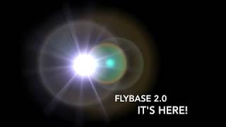 FlyBase 20 Its here [upl. by Aecila918]