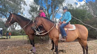 Both of our Barrel runs at Wangaratta Regfestin the rodeo part [upl. by Aniuqaoj]