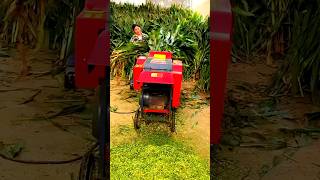 Mini chaff straw crusher Animal feed grass shredderFarm straw chopper grinder machineshorts [upl. by Underwood]