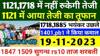 धान के भाव19 नवंबर 2023  dhan ke bhav  1509 dhan ke bhav  basmati dhan mandi bhav [upl. by Howarth819]