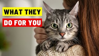 9 Things Your Cat Does for You Without You Knowing [upl. by Martinic]