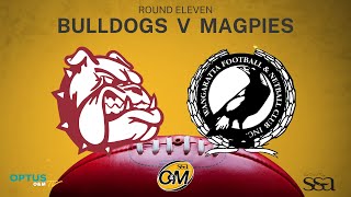 R11 2023  Wodonga Bulldogs vs Wangaratta Magpies [upl. by Atiuqram532]