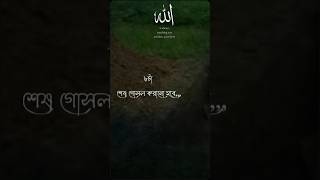 koborerajabkotokothin banglaislamicsong duetlove8ballpool newmusicanswer unfreezmyaccoun [upl. by Zug]