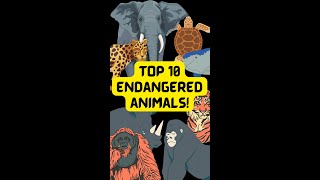 Top 10 endangered animals  Protect wildlife [upl. by Mateo579]