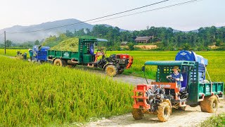 Use Truck To Transport Rice Threshing Machine  Transport Many Heavy Bags Of Rice To Villagers [upl. by Dhaf]