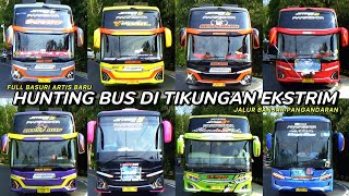 mobil bus telolet quartet bravo Sierra Bumblebee dkk shanum UPJ BS GUVILLI safana Eleganza DLL [upl. by Uella334]