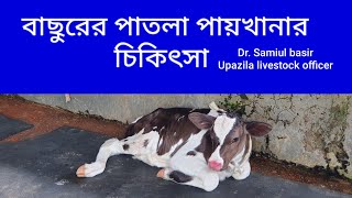 বাছুরের পাতলা পায়খানার চিকিৎসা। বাছুরের পাতলা পায়খানা।Enteritis disease। Enteritis treatment। [upl. by Deelaw]