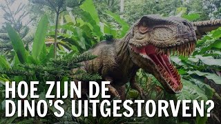 Hoe zijn dinos uitgestorven  De Buitendienst over dinosaurus [upl. by Verbenia]