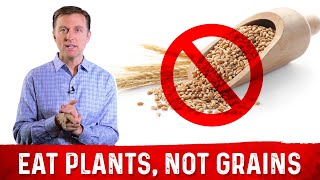 Eat Plants NOT Grains – Dr Berg [upl. by Octavus]