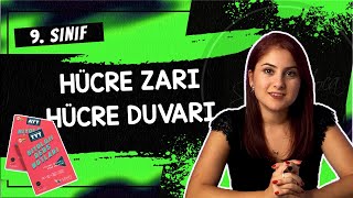 11 HÜCRE ZARI  HÜCRE DUVARI  9 SINIF  TYT BİYOLOJİ DERS NOTLARI  2024 [upl. by Hurwitz]