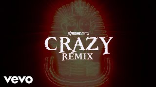 Bounty Killer Richie Stephens  Crazy remix Official Video [upl. by Carothers34]