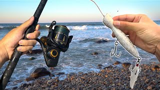 Fishing Americas BEST Surf Fishing Spot Epic  Montauk NY [upl. by Holub74]