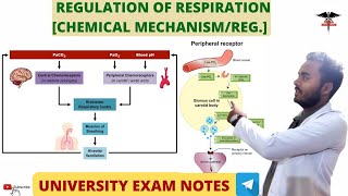 Regulation of Respiration Chemical MechanismRegulation Respiratory system physiology [upl. by Maiah386]