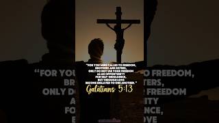 ✝️❤️ Freedom is a gift from God catholic faith caminadventures pilgrimage freedom hope love [upl. by Neale720]