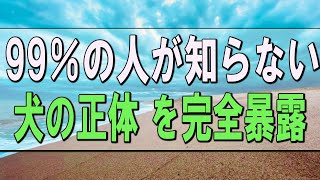 【武田鉄矢今朝の三枚おろし】※衝撃※ 99％の人が知らない 犬の正体 を完全暴露！ [upl. by Nlycaj]