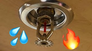 Activating Fire Sprinklers with the New Fire Sprinkler Test Enclosure [upl. by Abixah]