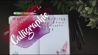 LA CALLIGRAPHIE  comment ne pas apprendre Bullet journal français [upl. by Ettenil]