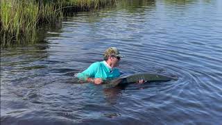 Homosassa Tarpon Fishing  Capt Brian Sawyer Fly Fishing For Giant Tarpon in Homosassa FL [upl. by Analart]