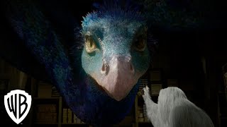 Creatures Occamy  Fantastic Beasts and Where to Find Them  Warner Bros Entertainment [upl. by Hannasus]