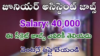 ఐఐటి కాలేజీలో జూనియర్ అసిస్టెంట్ జాబ్స్  IIT Junior assistant job  All jobs station Latest jobs [upl. by Notsruht239]