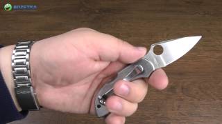 Демонстрация Spyderco Dragonfly Stainless Steel C28P [upl. by Halland617]