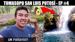 LLEGAMOS A TAMASOPO CAMPING Y A LA CASCADA DEL AGUACATE EN SAN LUIS POTOSI  EP 4 mochileando [upl. by Einnek]