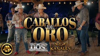 Kanales Los Dos de Tamaulipas  Caballos de Oro Video Musical [upl. by Macmullin]