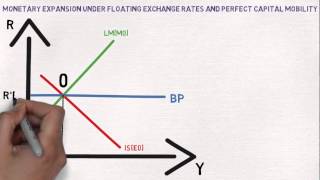 International Economics MundellFleming Model [upl. by Helban]