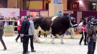 Salon de lAgriculture 2016 [upl. by Norha]