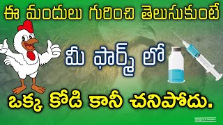 Complete Medicine Details  chick to finisher  Technical Farmers Telugu [upl. by Bloch86]