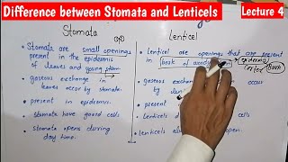 Difference between Stomata and Lenticels  Gaseous Exchange in Plants  Chap Gaseous Exchange Lec 4 [upl. by Itsirhc]