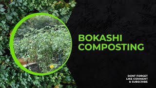 What does bokashi compost do to soil [upl. by Colligan]