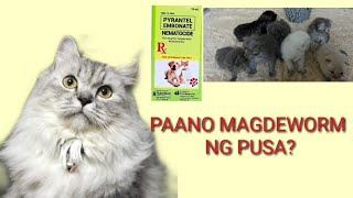 PAANO MAGDEWORM NG PUSANEMATOCIDE [upl. by Eixel]