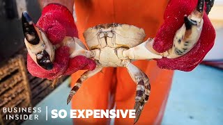 Why Stone Crab Claws Are So Expensive  So Expensive [upl. by Anwat]