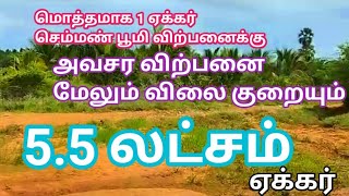 55லட்சம் மொத்தமாக 1ஏக்கர் மட்டுமே உள்ளது அவசர விற்பனை  Agriland for Sale Urgent Sale  GK Housing [upl. by Waddell]